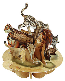 The Big Cats Card The Big Cats Card