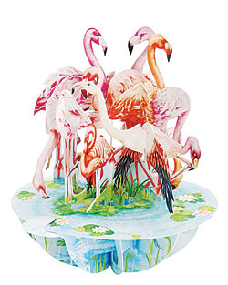 Flamingos Card Flamingos Card