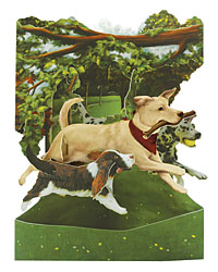 Dogs in the Park Card Dogs in the Park Card