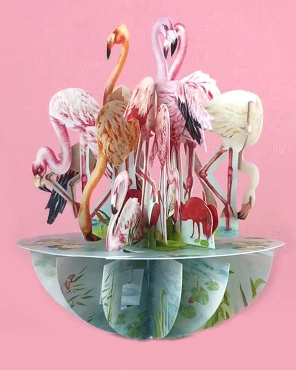 Flamingos Card - Click Image to Close